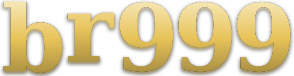 br999 logo